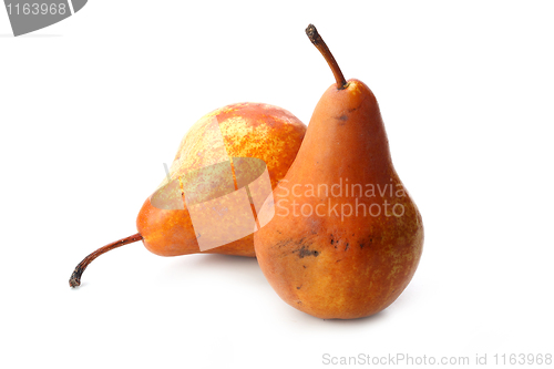 Image of The pear