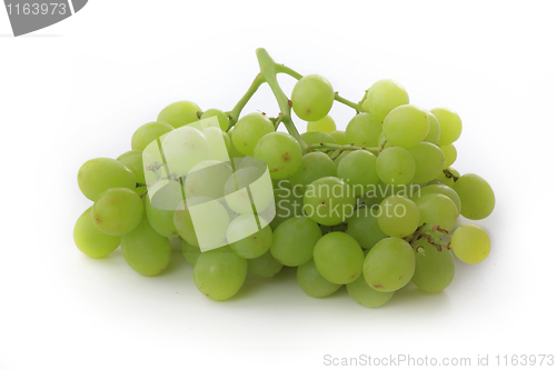 Image of Grapes isolated on white