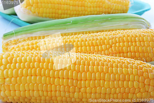 Image of The corn