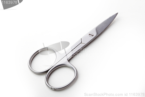 Image of The scissors