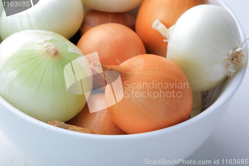 Image of Tasty kitchen. Fresh vegetables isolated on white