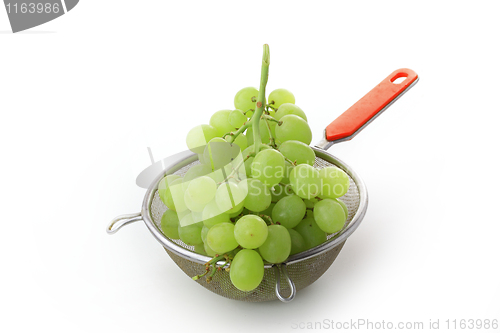 Image of Grapes isolated on white