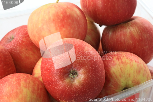 Image of Red apples