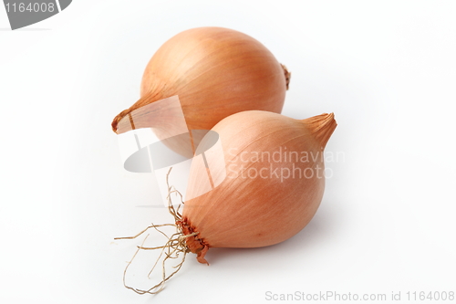 Image of Tasty kitchen. Fresh vegetables isolated on white