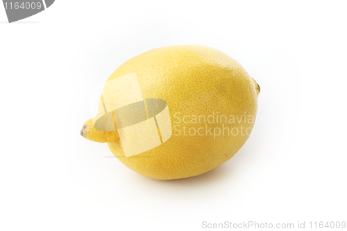Image of The yellow lemon