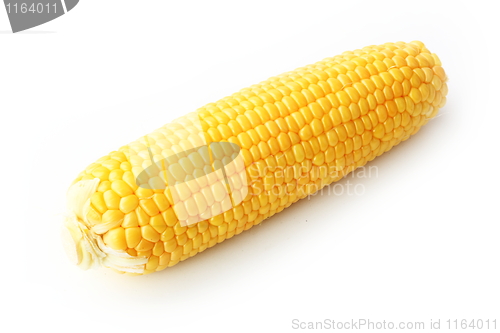 Image of The corn