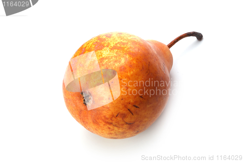 Image of The pear