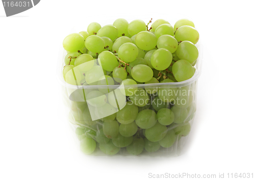 Image of Grapes isolated on white