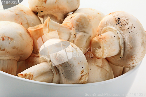 Image of Healthy food.