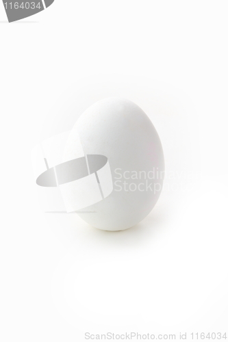 Image of White egg