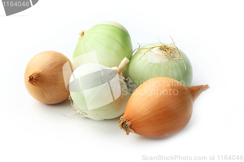 Image of Tasty kitchen. Fresh vegetables isolated on white