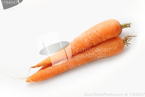 Image of The red carrot