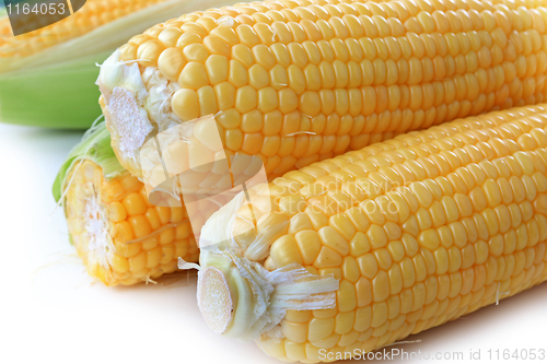 Image of The corn