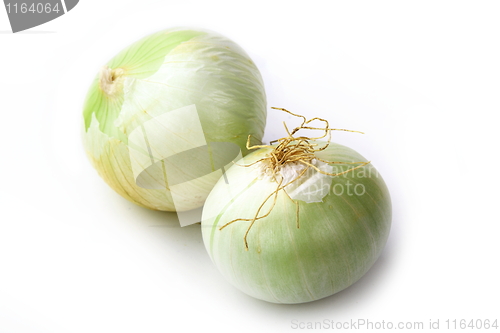 Image of Tasty kitchen. Fresh vegetables isolated on white