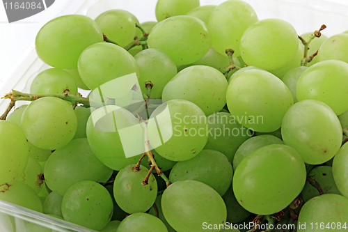 Image of Grapes isolated on white