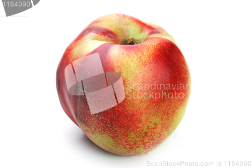 Image of The peach
