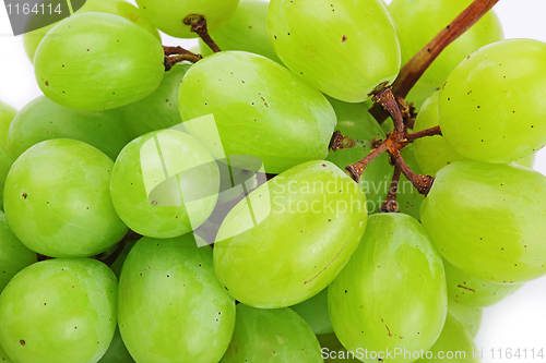 Image of Grapes isolated on white