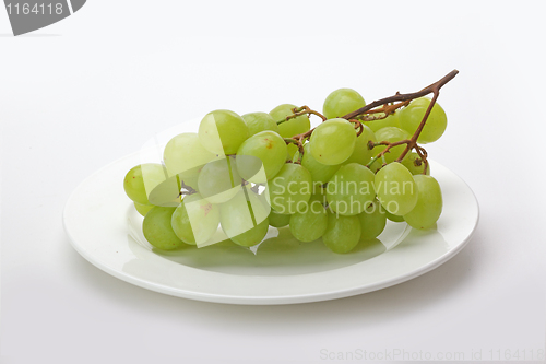 Image of The grape