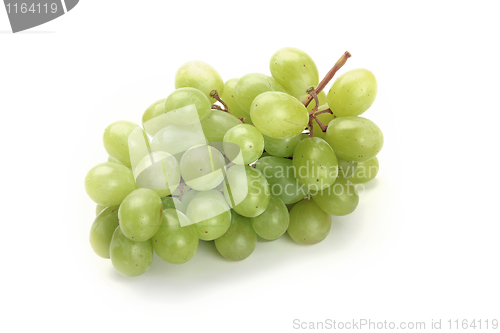 Image of Grapes isolated on white