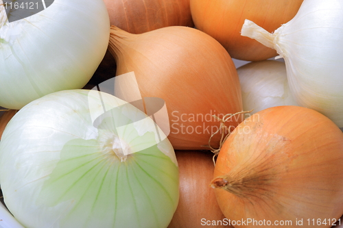 Image of Tasty kitchen. 
