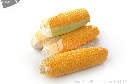 Image of The corn