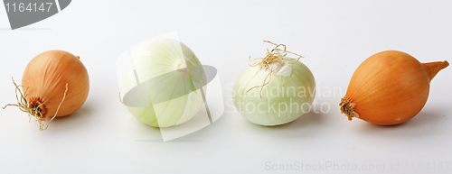 Image of Tasty kitchen. Fresh vegetables isolated on white