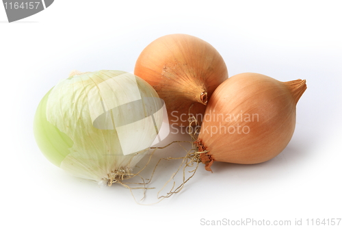 Image of Tasty kitchen. Fresh vegetables isolated on white