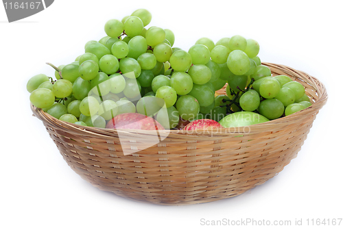 Image of The grape