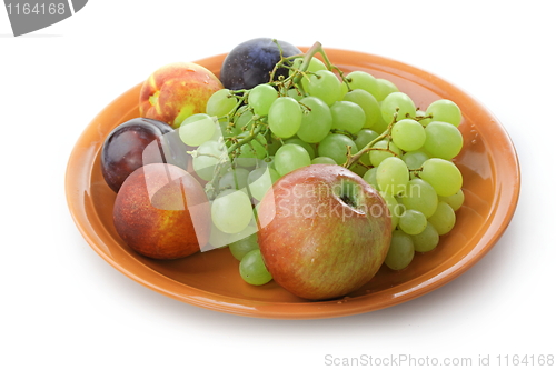 Image of Many fruits