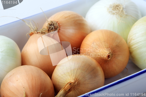 Image of Tasty kitchen. 