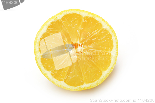 Image of The cutted lemons 