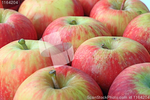 Image of Red apples