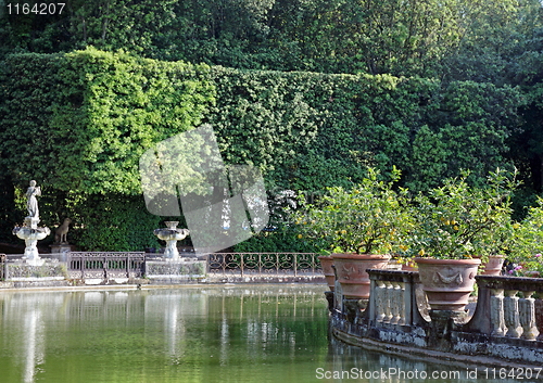 Image of The Florence