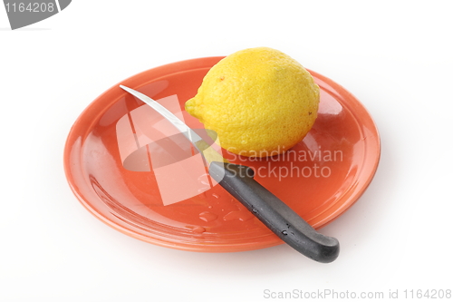 Image of The lemon