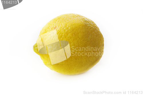 Image of The yellow lemon