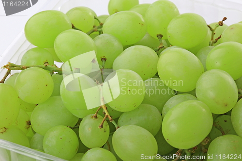 Image of Grapes isolated on white