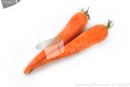 Image of The red carrot