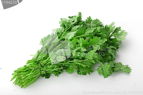 Image of Healthy food. 