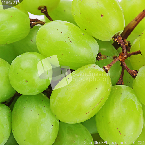 Image of Grapes isolated on white