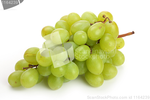 Image of The grape