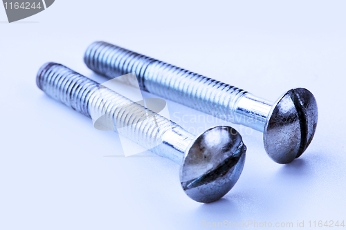 Image of The screws