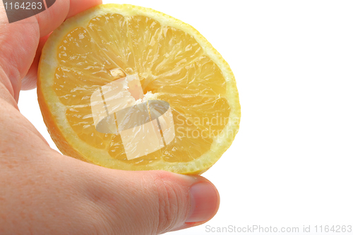 Image of The hand holding cutted lemons 