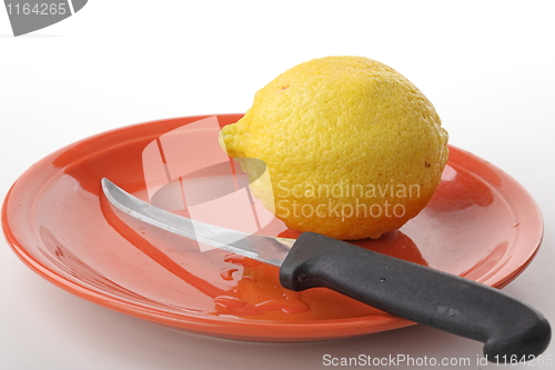 Image of The lemon