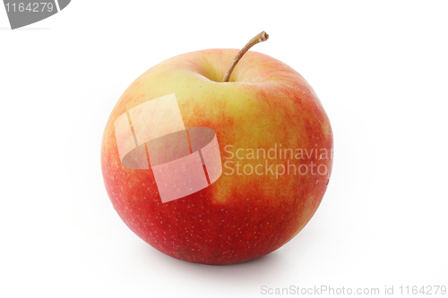 Image of Red apple