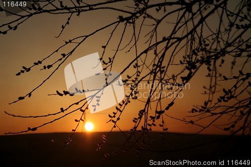 Image of Sunset