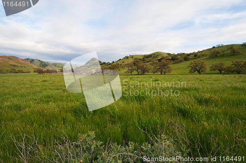 Image of Springtime