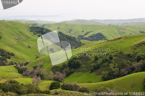 Image of Rolling hills