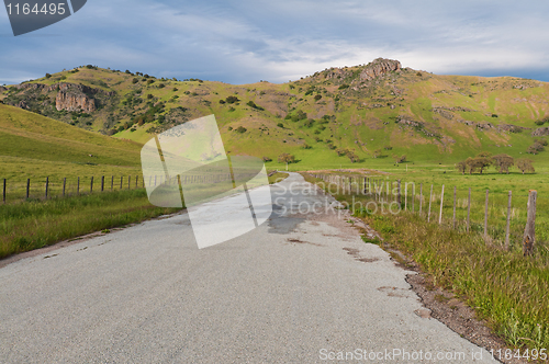 Image of Springtime