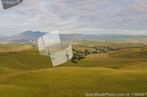 Image of Rolling hills