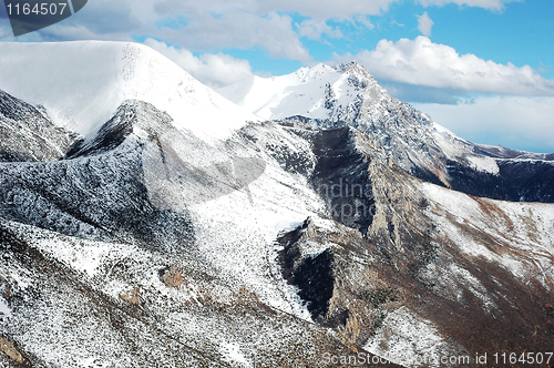 Image of Landscape in winter